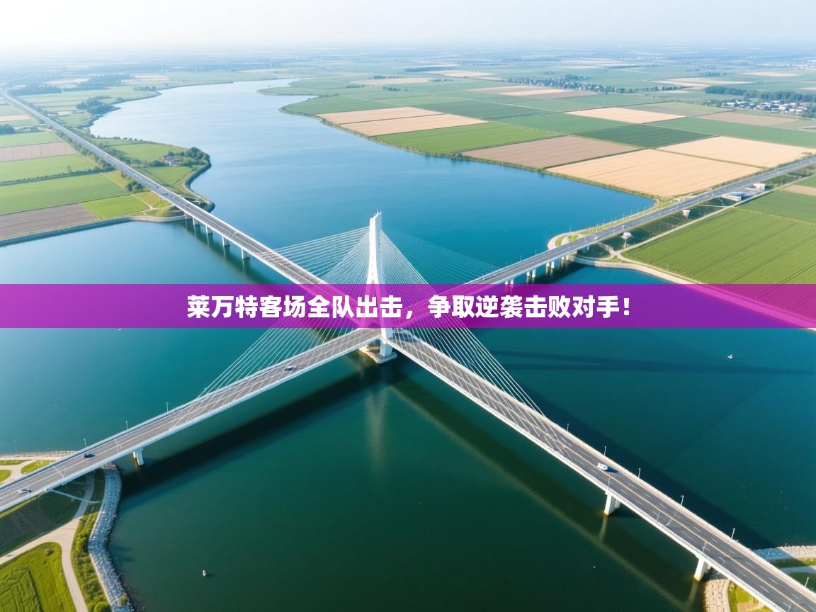 莱万特客场全队出击,争取逆袭击败对手! 第1张