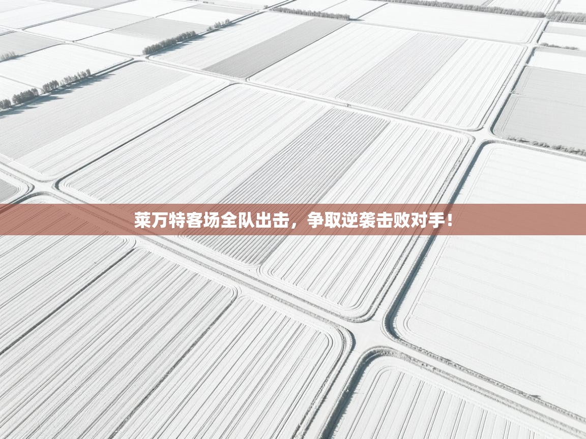 莱万特客场全队出击,争取逆袭击败对手! 第2张