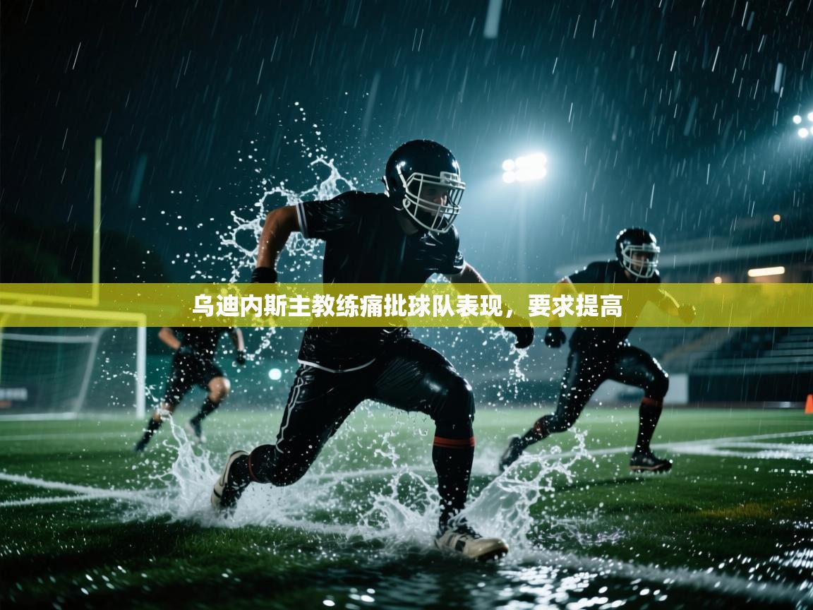 乌迪内斯主教练痛批球队表现,要求提高 第1张