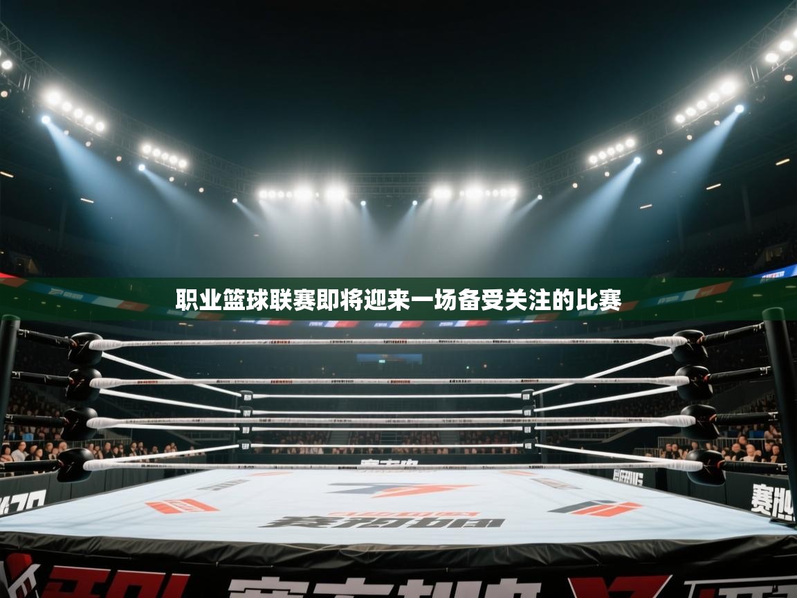 职业篮球联赛即将迎来一场备受关注的比赛  第1张